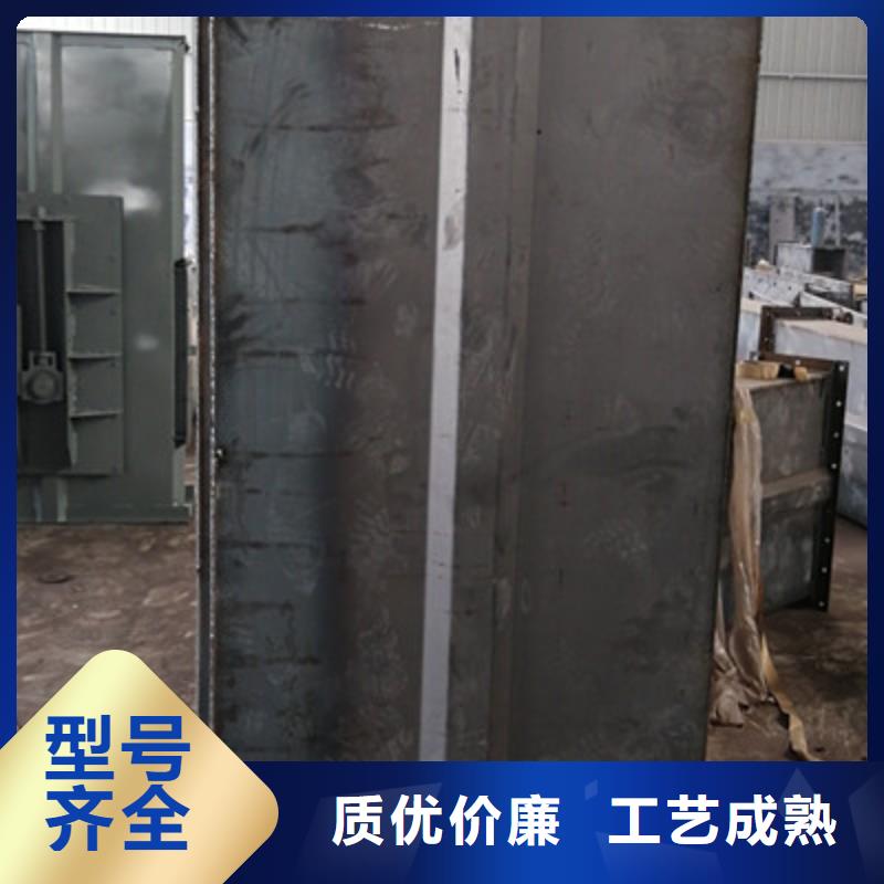 TD200斗式机价格批发价格本地生产商