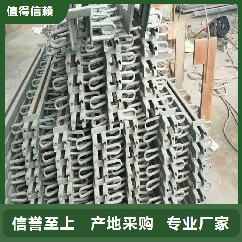 销售PGF120型钢齿型伸缩装置_优质厂家精选厂家好货