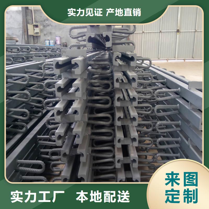 HZF型桥梁伸缩缝非标定制当地生产商