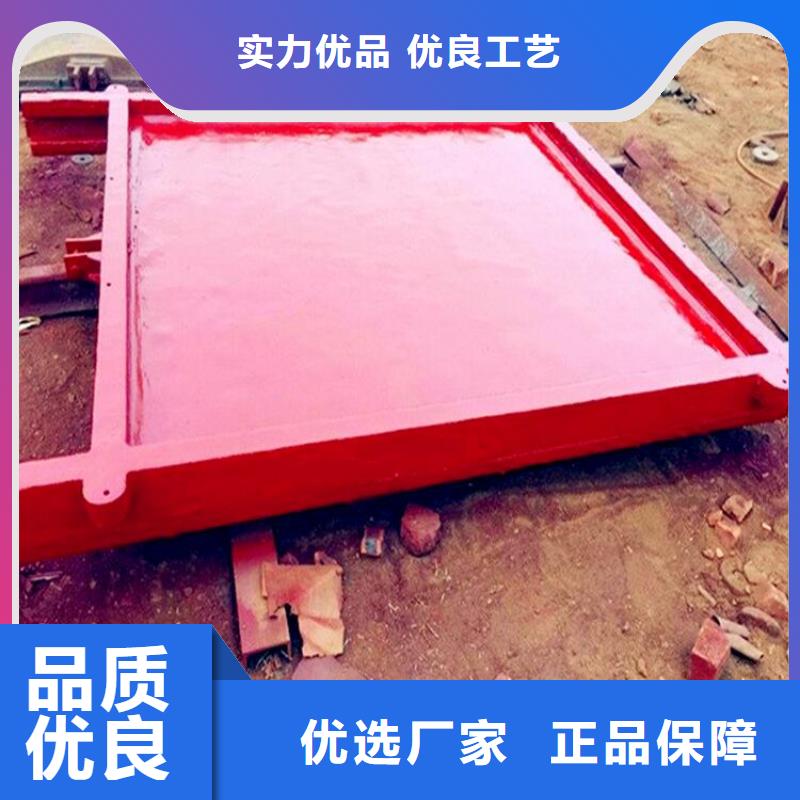 建瓯铸铁镶铜方闸门零售供货及时