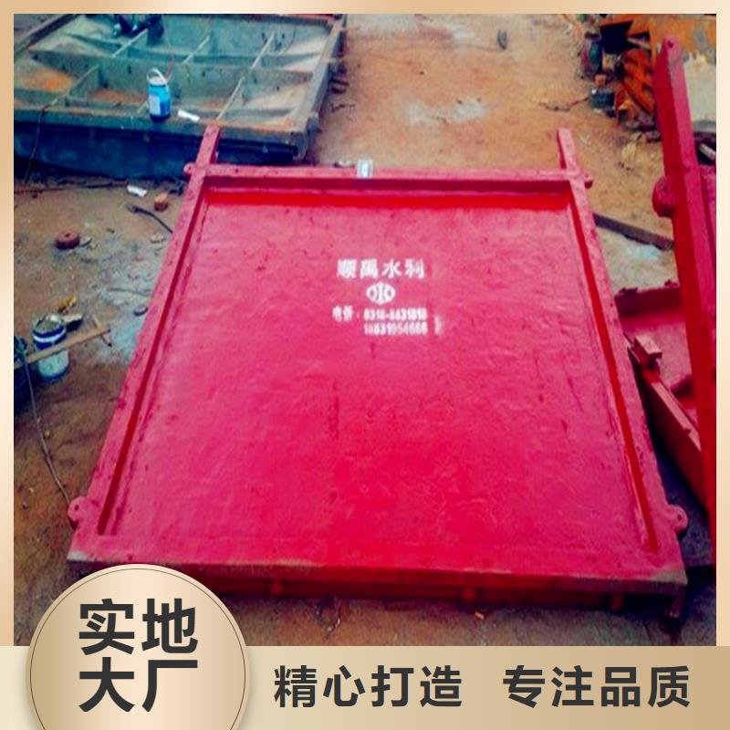 规格齐全的卧倒式钢闸门批发商细节展示
