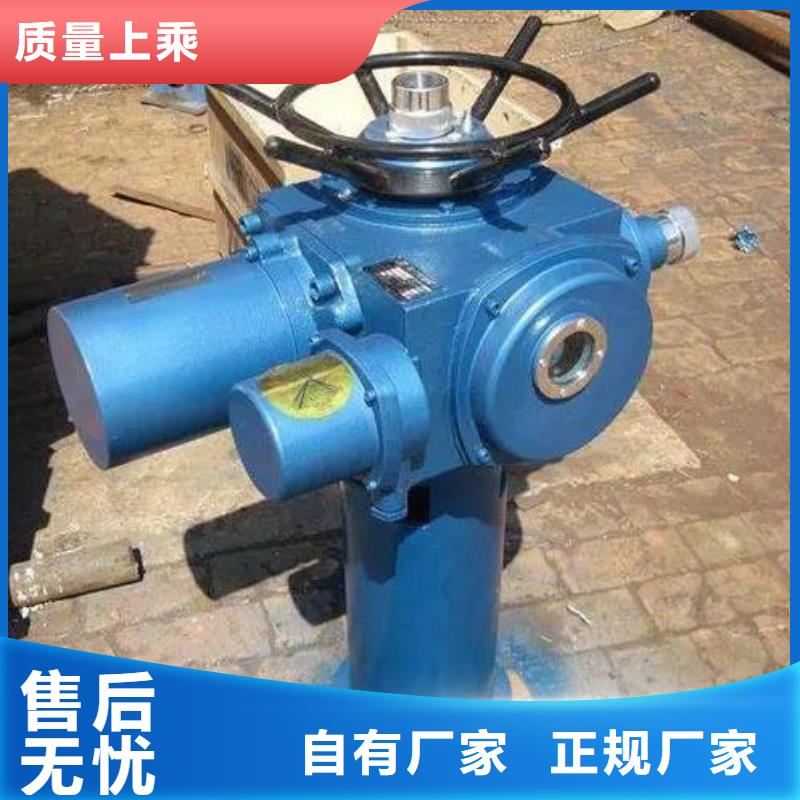 螺杆式启闭机SDQ2-15T质量优严格把关质量放心