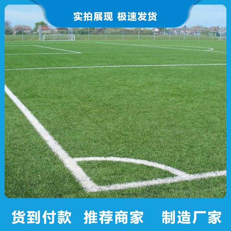 优质的硅PU球场施工供货商按需设计