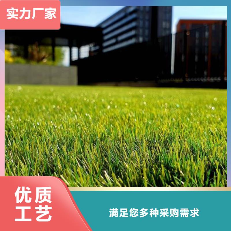 塑胶跑道厂同城服务商