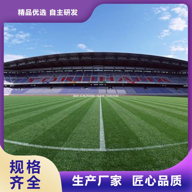 实力雄厚的塑胶跑道测试厂家本地生产厂家