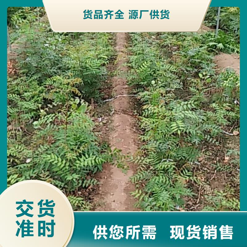开心果量多优惠商家直供