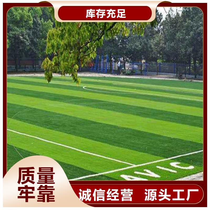 规格齐全的编织人造草坪厂家当地生产商