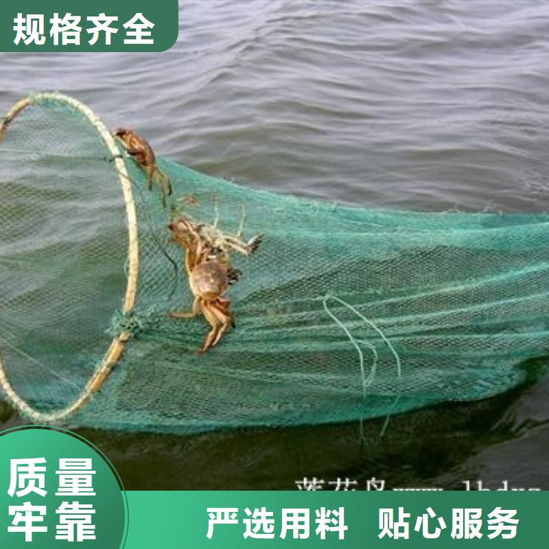 凤凰县阳澄湖莲花岛同城供应商