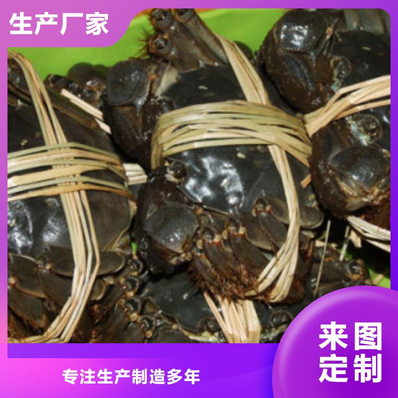 #超大闸蟹#现货供应当地生产商