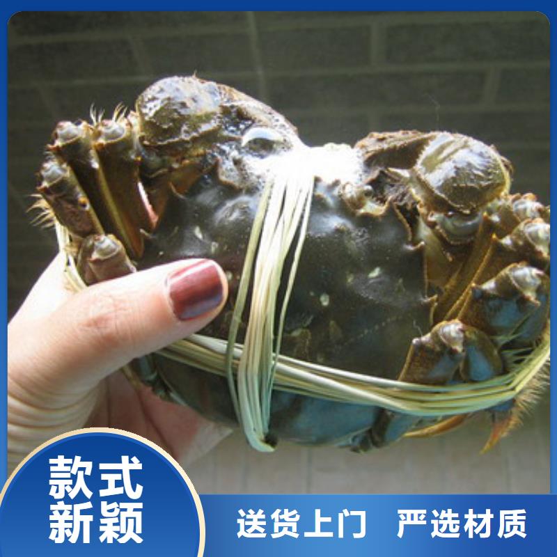 正宗阳澄湖大闸蟹礼品包装盒订制批发