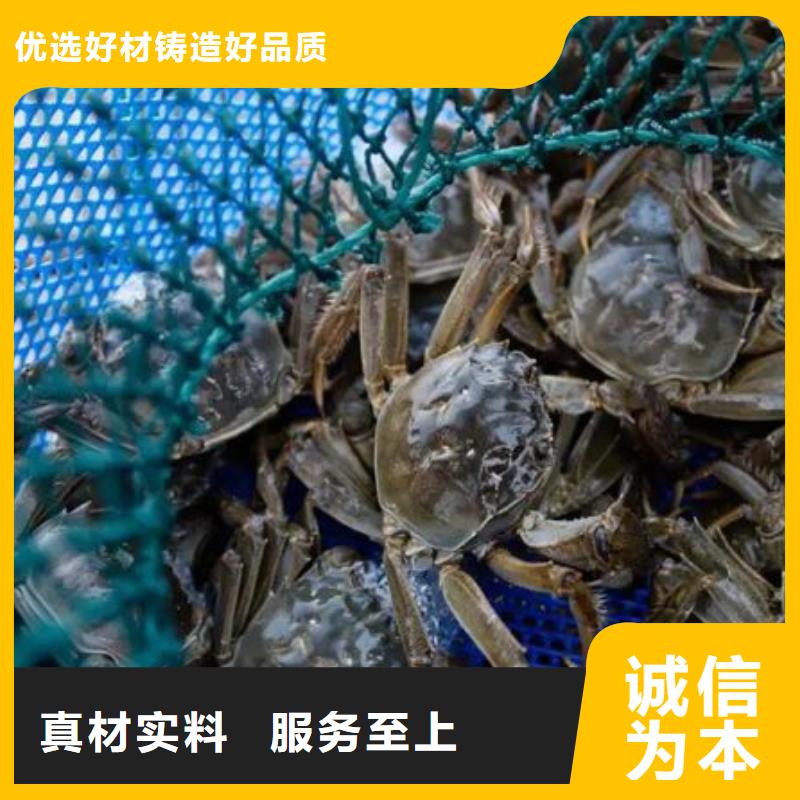 信誉好的大闸蟹生产厂家当地生产厂家