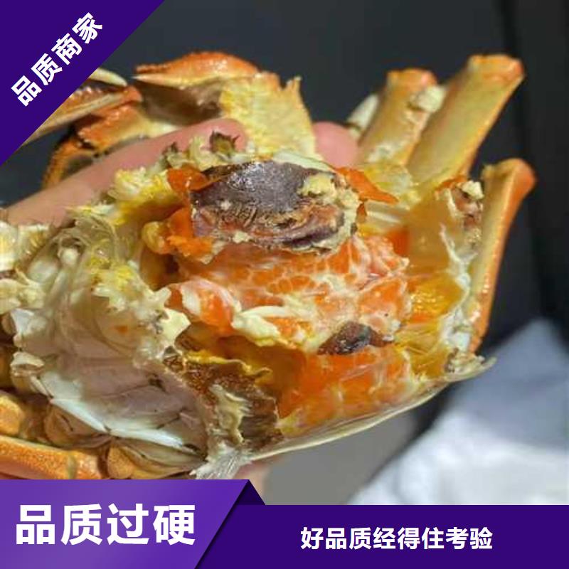 于洪阳澄湖大闸蟹高端品质当地经销商