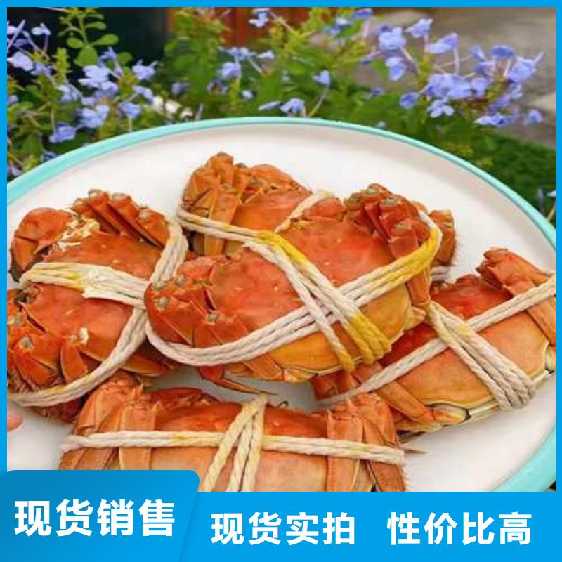 买大闸蟹订制批发
