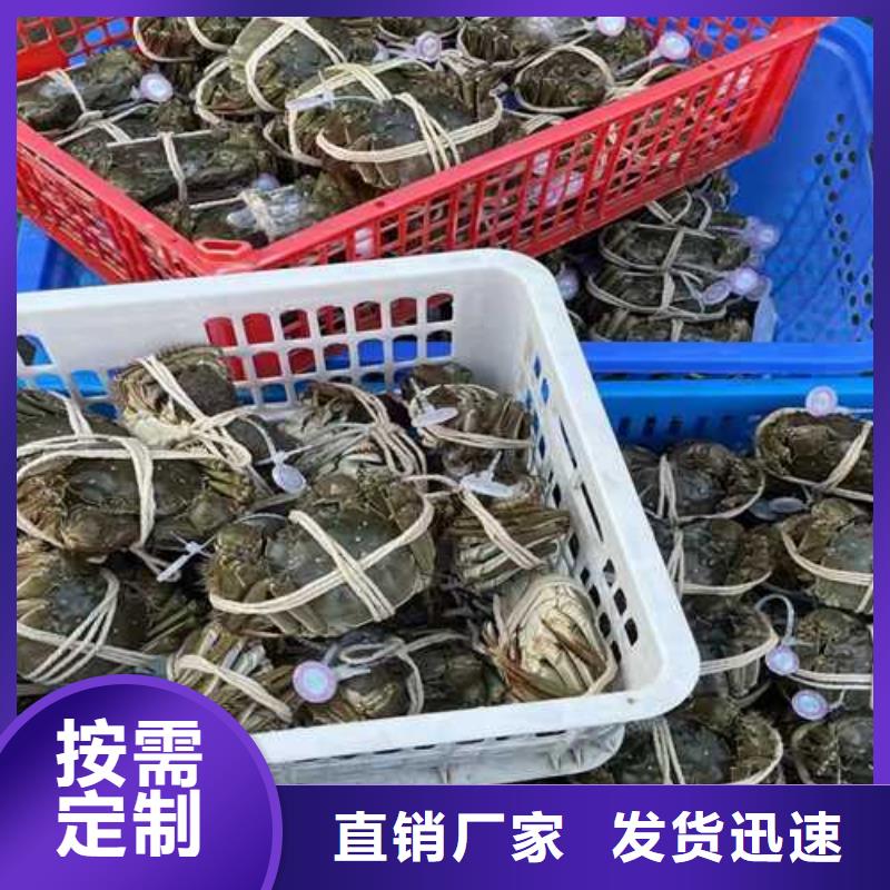 阳澄湖大闸蟹包邮您想要的我们都有