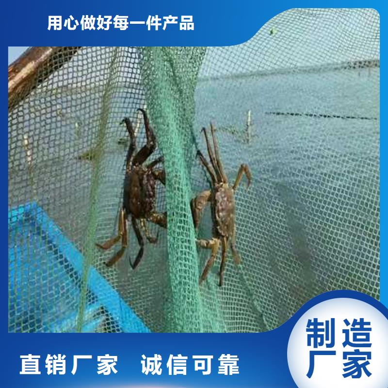 优质大闸蟹厂家当地服务商