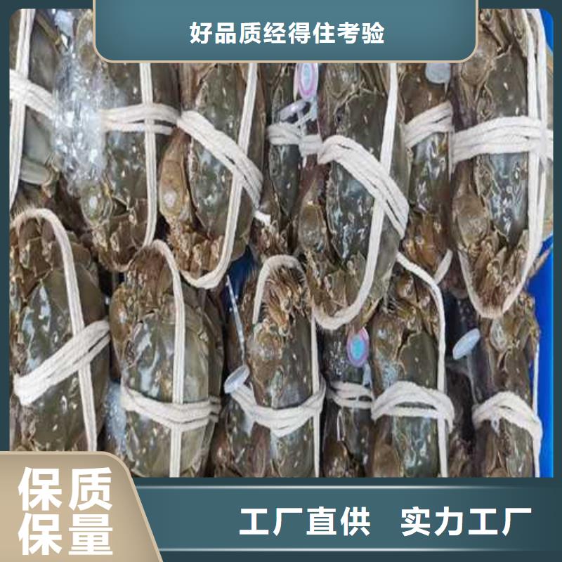 大闸蟹采购厂家合作共赢