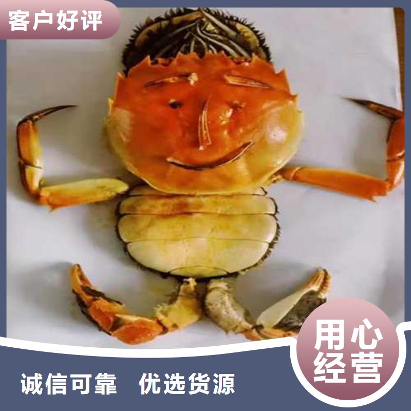 凤凰阳澄湖大闸蟹匠心打造当地厂家