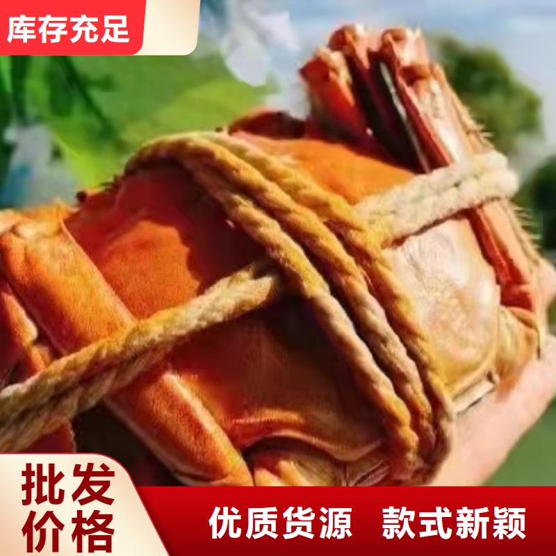 大闸蟹正规靠谱同城生产商