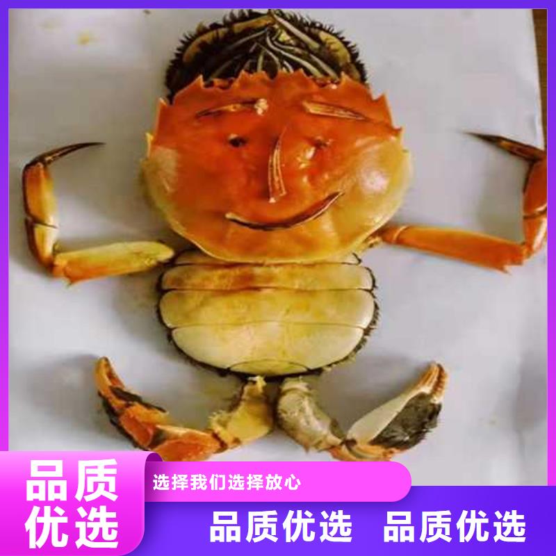 供应大闸蟹的厂家全品类现货