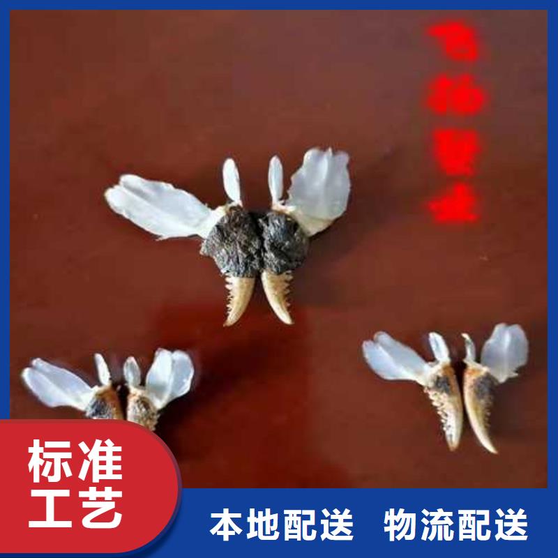 大闸蟹连锁店批发价格长期供应