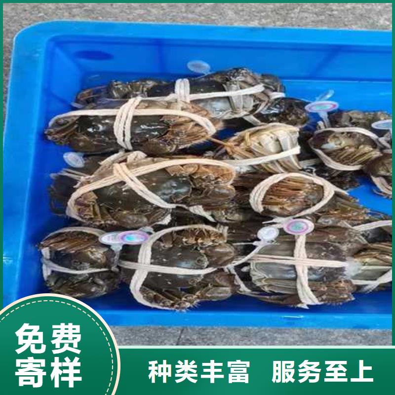 方城县阳澄湖农家乐当地服务商