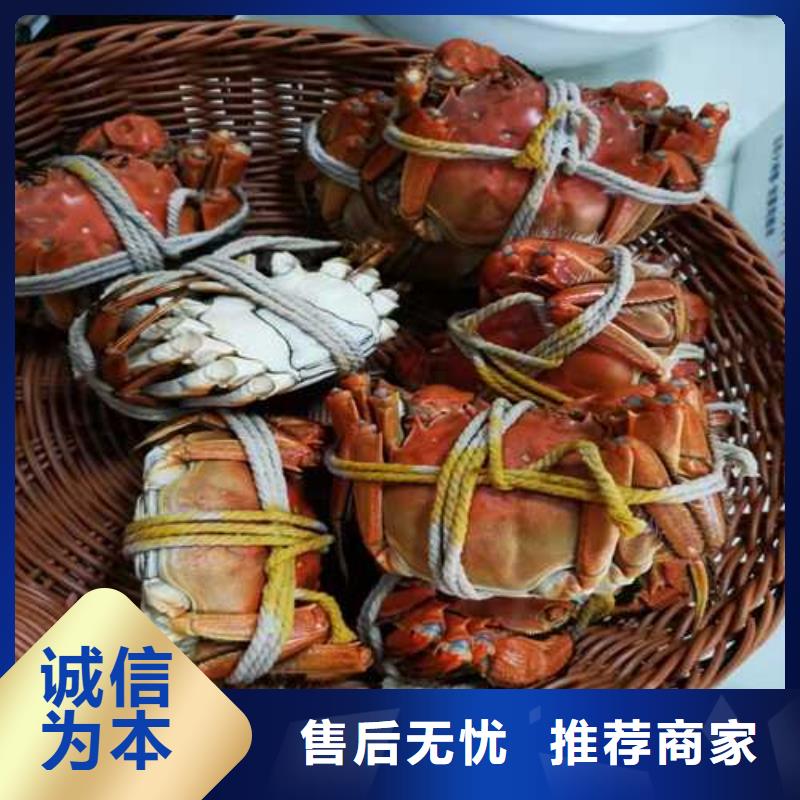 大闸蟹礼卡团购详细参数