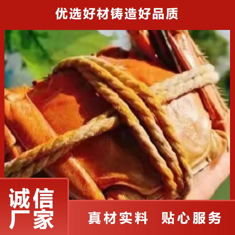 阳澄湖大螃蟹店当地品牌
