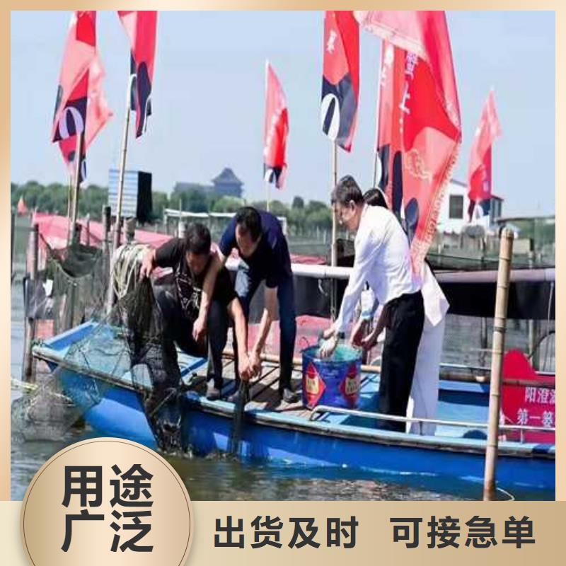 资讯：阳澄湖大螃蟹生产厂家诚信商家
