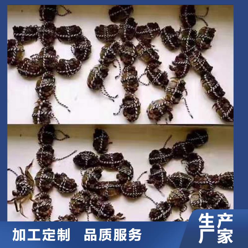 城厢区阳澄湖农家乐质检严格