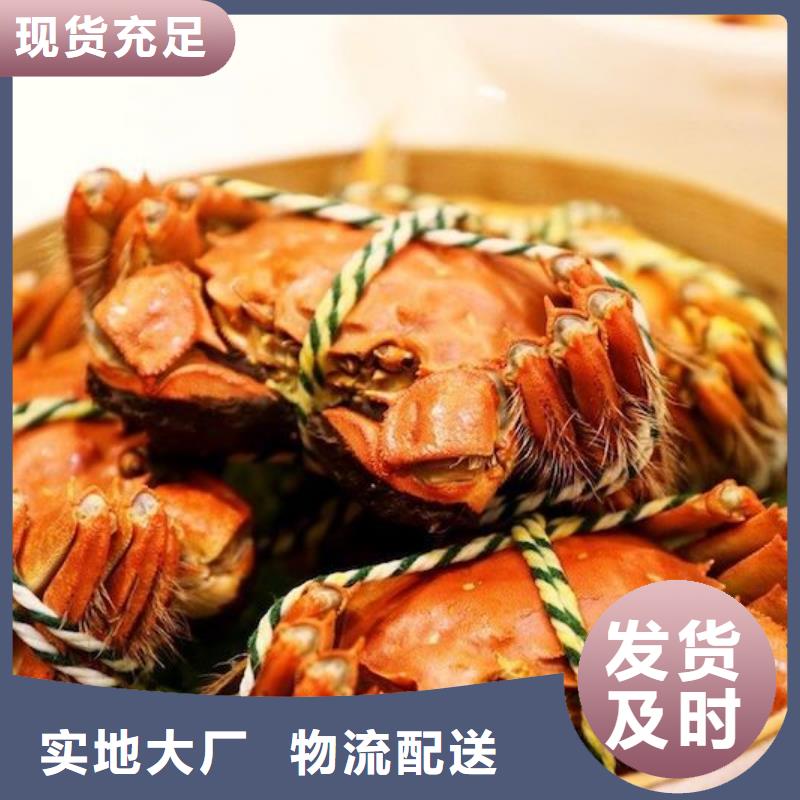 打螃蟹品牌厂家价格优惠库存充足