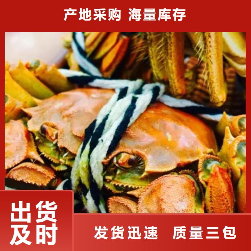 阳澄湖大闸蟹-阳澄湖大闸蟹性价比高一站式服务