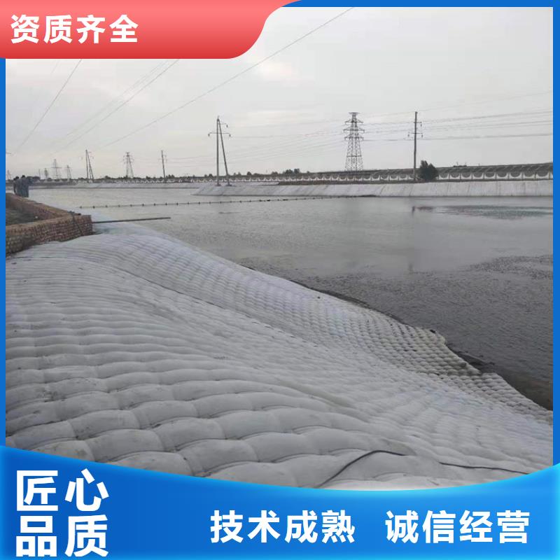 水下摄像录像检查公司本地潜水作业机构2024专业的团队