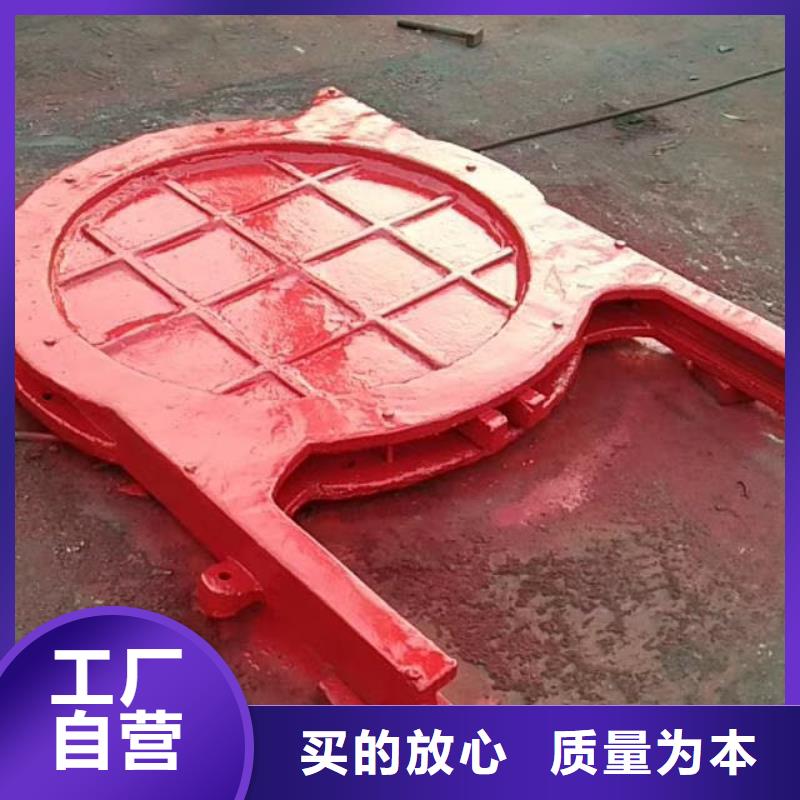 漳浦县管道铸铁闸门性价比高厂家经验丰富