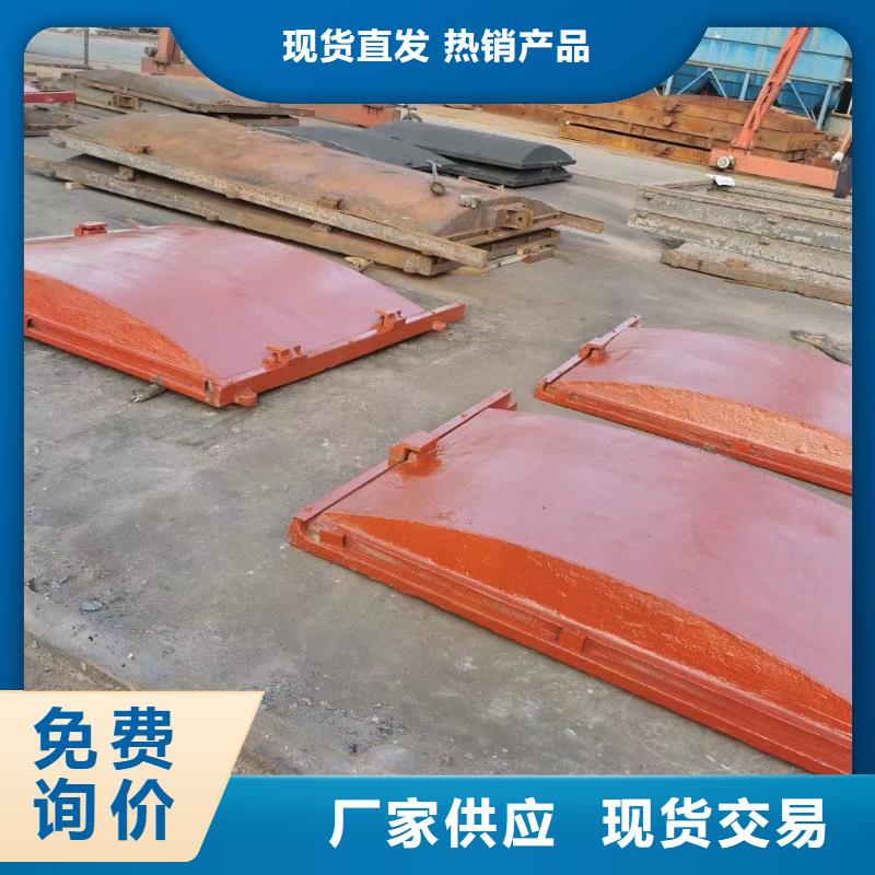 铸铁镶铜闸门_立体闸门[厂家价格]本地厂家