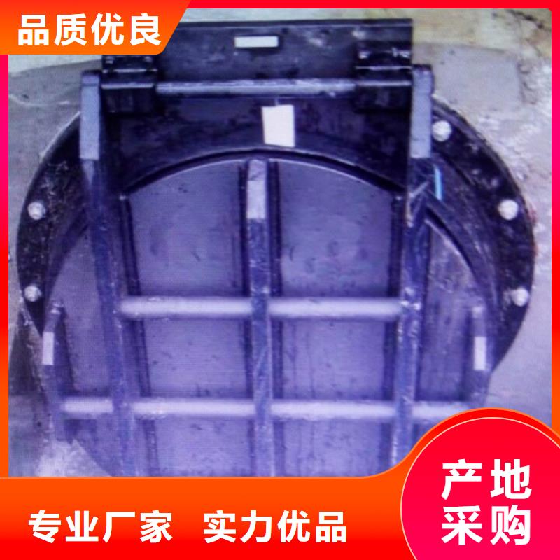 水利拍门单开拍门-用的放心同城品牌