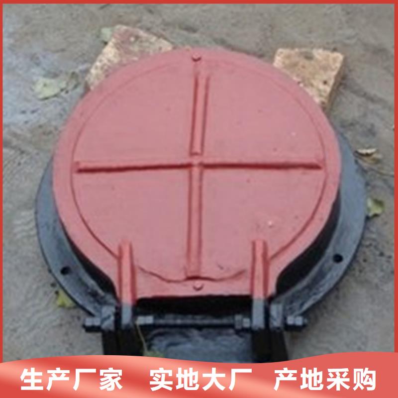 水利工程拍门-水利工程拍门可定制安装简单
