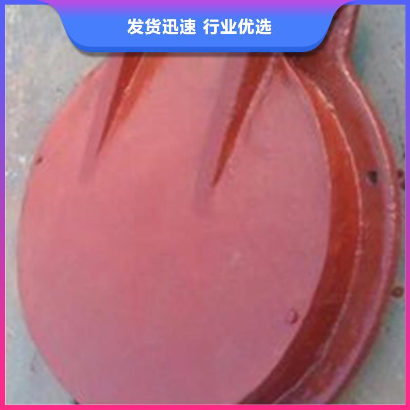 铸铁拍门-回购率高本地货源