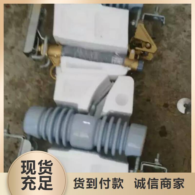 高压熔断器/HLGF2-10KV同城生产厂家