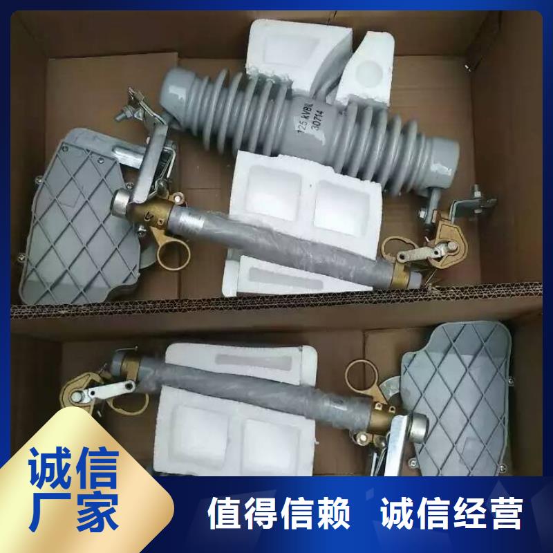 高压熔断器/PRW-12F/100A品质好才是硬道理