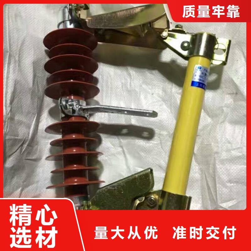 跌落式熔断器_RW12-10/100A同城供应商