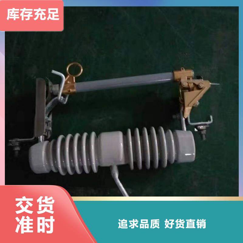 高压熔断器/HPRW8-12/100-12.5当地货源