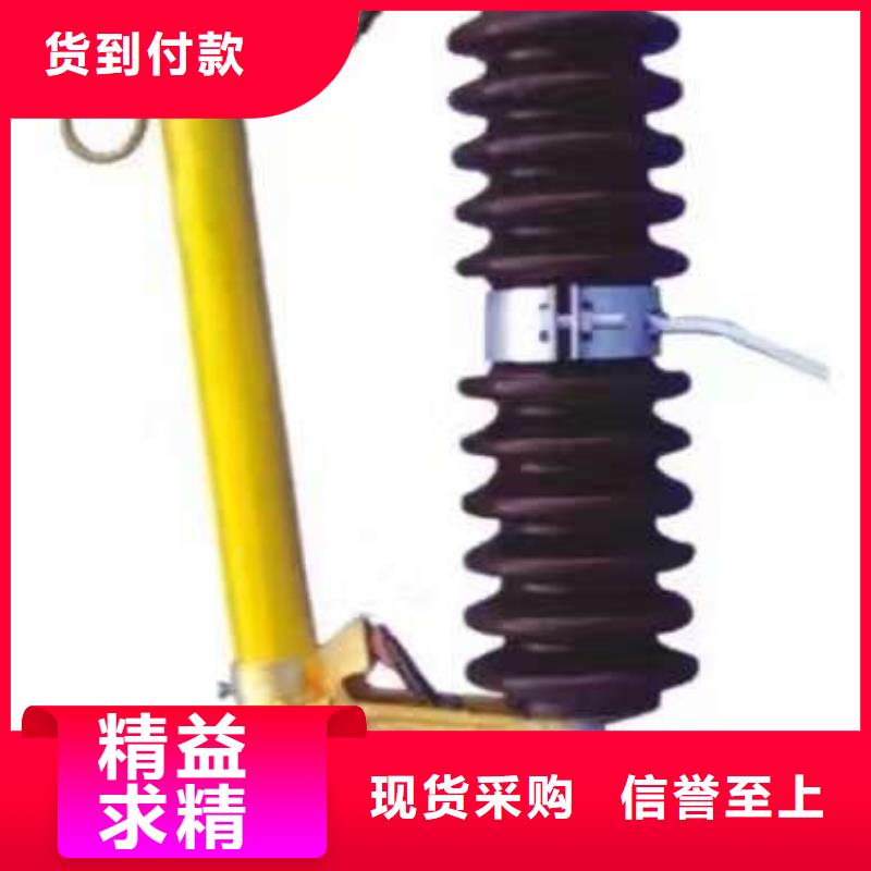 【】跌落式开关.跌落保险RW15-10/200A专业设计