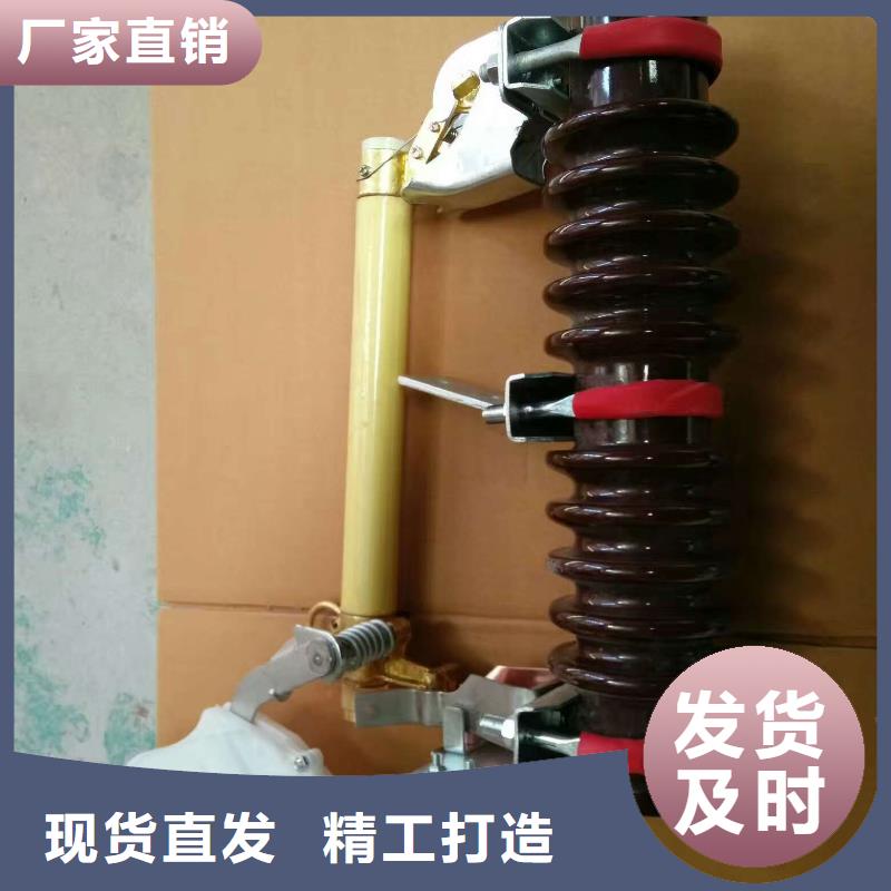 _避雷器Y10W-390/960【羿振电气】同城服务商