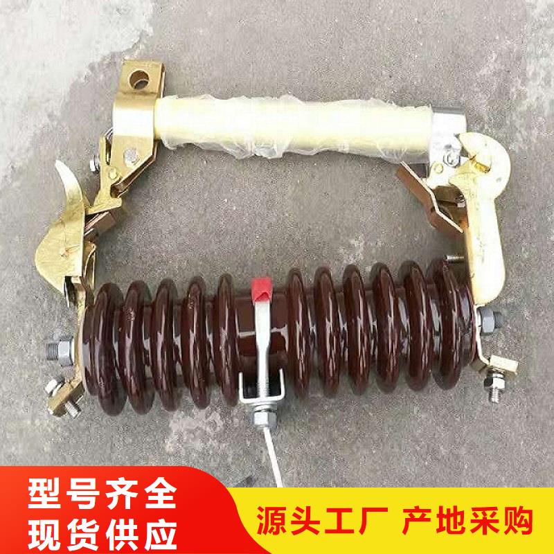 _复合绝缘氧化锌避雷器YH10W-51/134【羿振电气】讲信誉保质量
