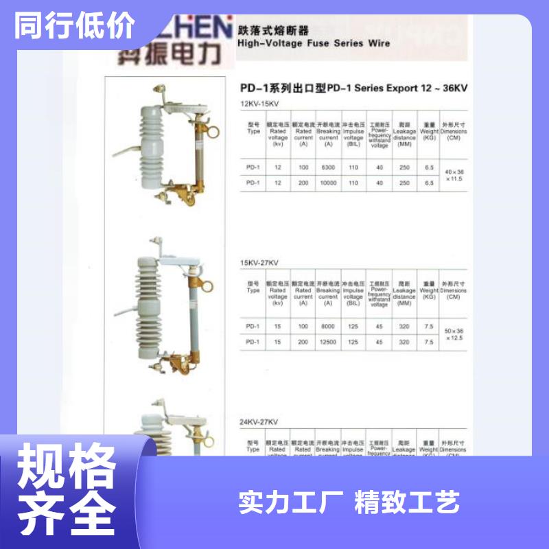 【】跌落式熔断器HRW12-12KV-100A保障产品质量