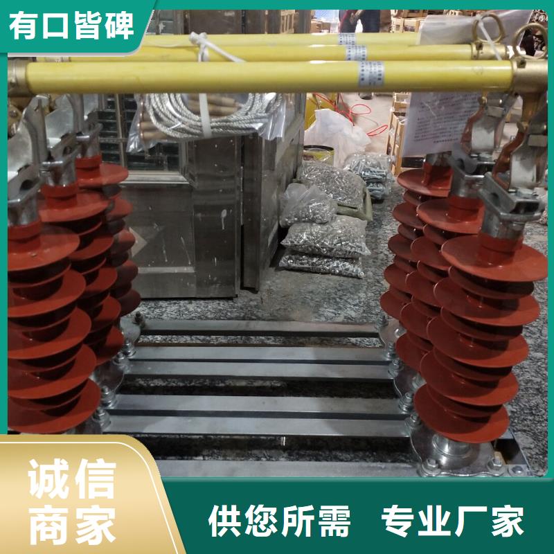 _金属氧化物避雷器HYSWS-17/50【羿振电气】本地供应商