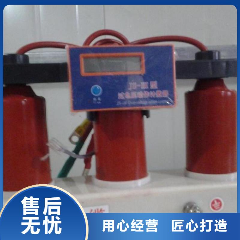 【】保护器(组合式避雷器)HRB-B-7.2-J实力厂商