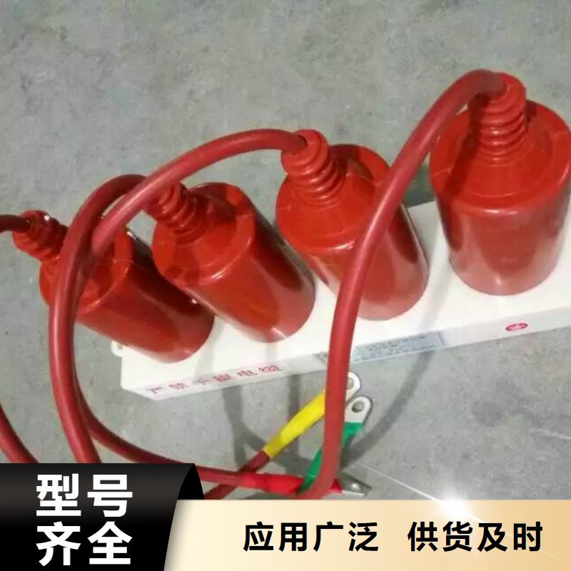 【组合式过电压保护器】YH2.5WD-4/11.6*4/9.5产品细节