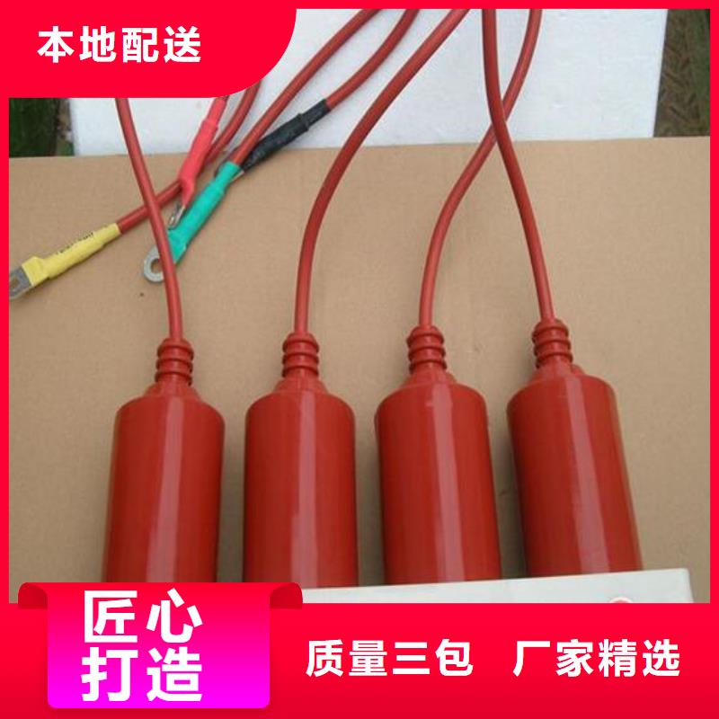 【】保护器(组合式避雷器)YH2.5WD-13.5/38.7*13.5/31.0当地厂家
