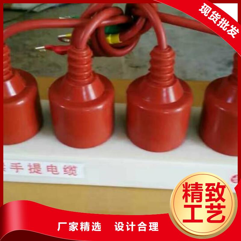 【】过电压保护器(组合式避雷器)TBP-A-7.6/150-J厂家直销省心省钱